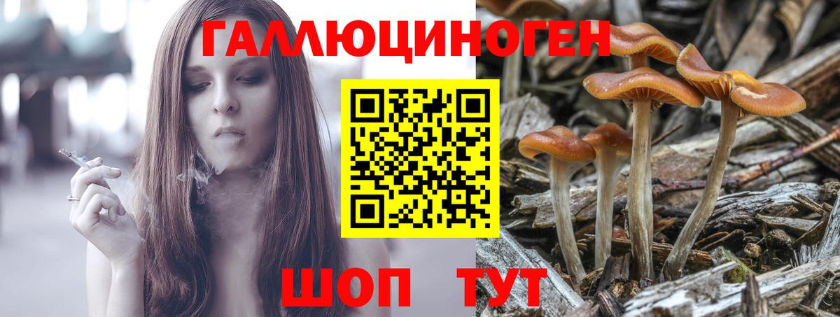 Евпатория  Галлюциногенные грибы мухоморы  Галлюциногенные грибы Psilocybine cubensis  Вход с VPN 
